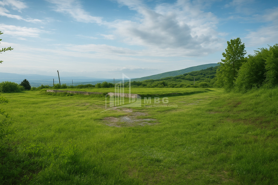 იყიდება მიწის ნაკვეთი სიღნაღი კახეთი