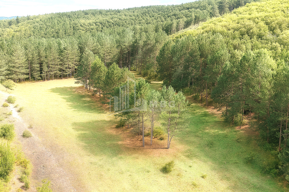 Продается Земля Городок Сурами Хашури Шида Картли