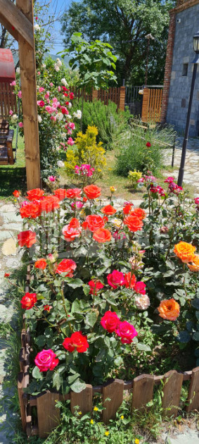 Продается Коммерческий Хашми Сагареджо Кахети