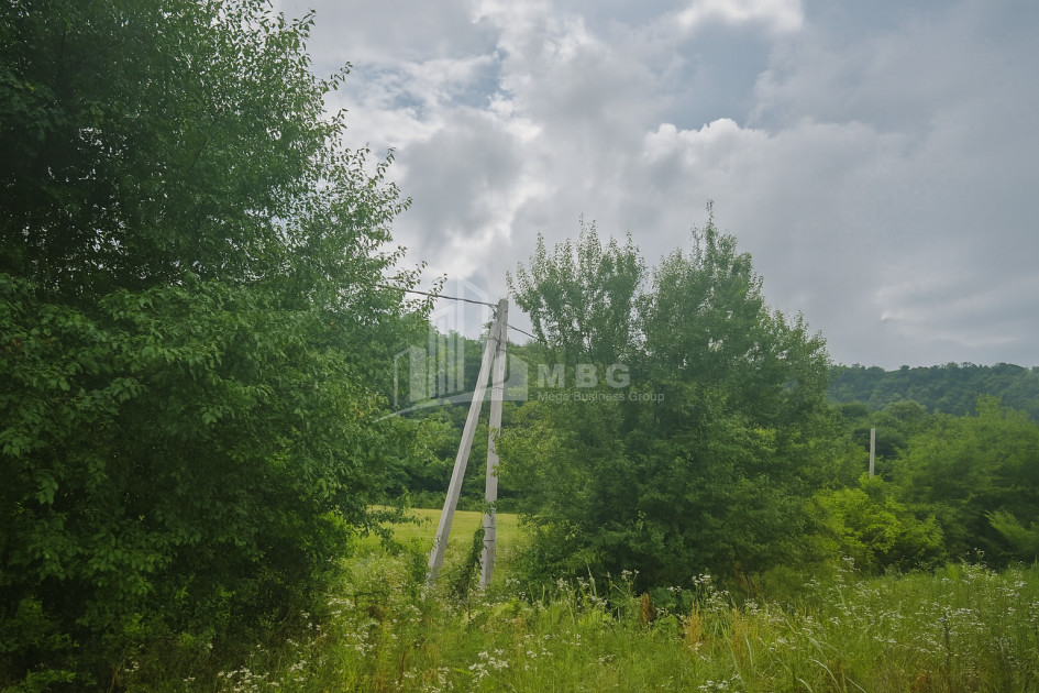 Продается Земля Кварели Кахети