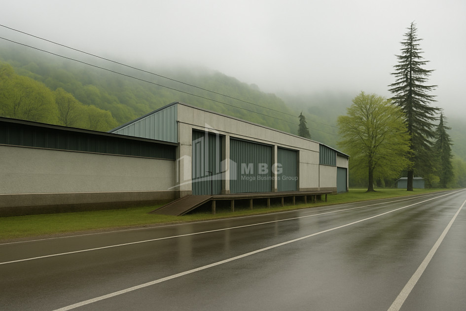 For Sale Commercial Nabeghlavi Chokhatauri Municipalities of Guria
