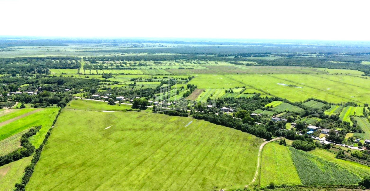 იყიდება მიწის ნაკვეთი სენაკი სამეგრელო   ზემო სვანეთი