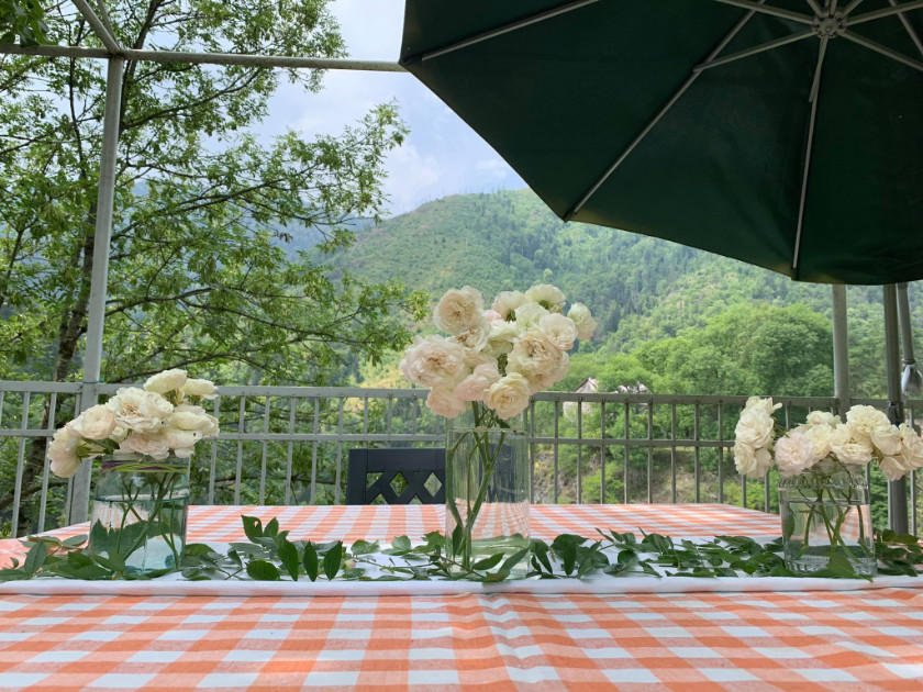 Продается Коммерческий Садгери Боржоми Самцхе   Джавахети