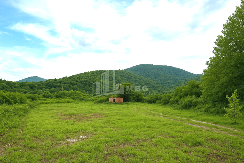 იყიდება მიწის ნაკვეთი სიღნაღი კახეთი