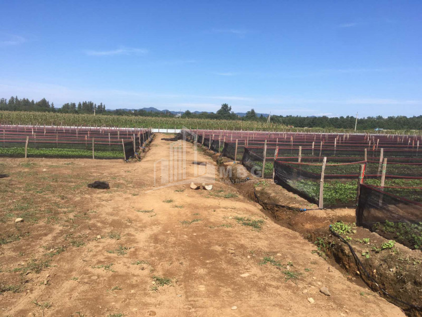 იყიდება მიწის ნაკვეთი გურია