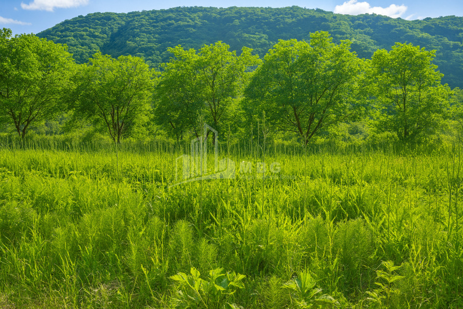 იყიდება მიწის ნაკვეთი ორხევი თიანეთი მცხეთა   მთიანეთი