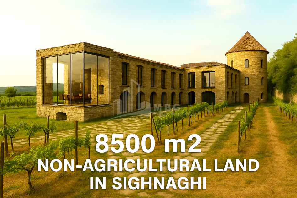 იყიდება მიწის ნაკვეთი სიღნაღი კახეთი