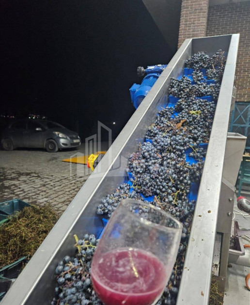 იყიდება კომერციული ფართი დოესი კასპი შიდა ქართლი