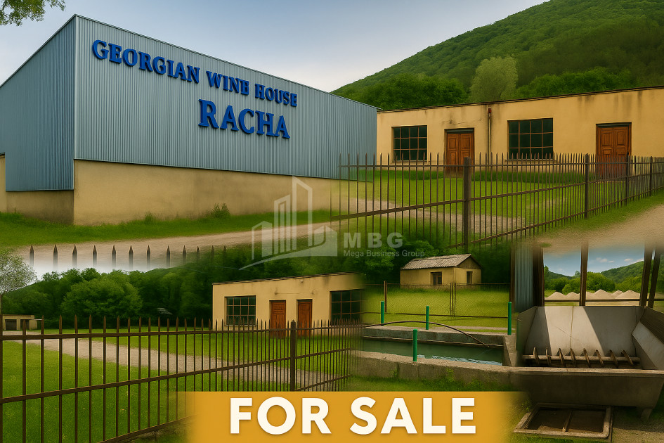 For Sale Commercial Ambrolauri Racha   Lechxumi Kvemo Svaneti