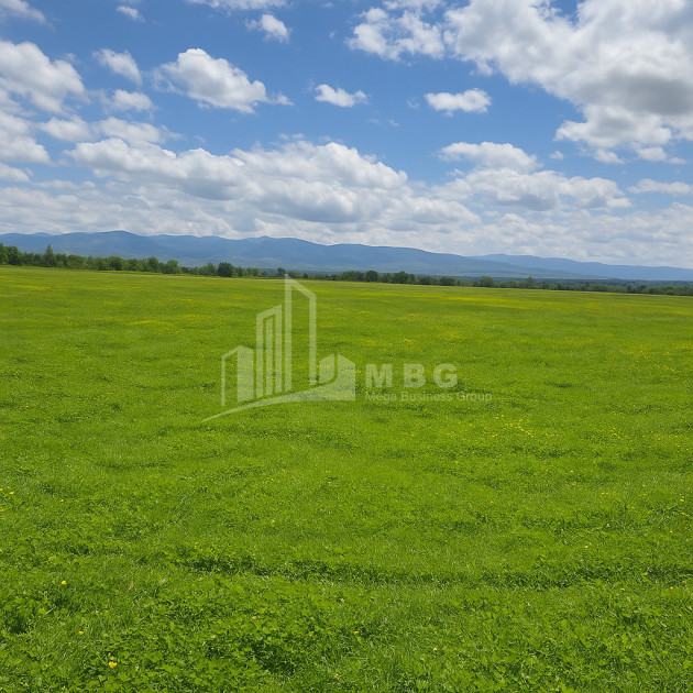 For Sale Land Vartsikhe Baghdati Imereti