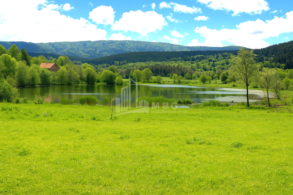 For Sale Land Nikortsminda Ambrolauri Racha   Lechxumi Kvemo Svaneti