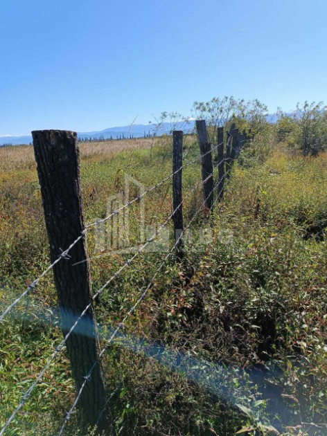 იყიდება მიწის ნაკვეთი სენაკი სამეგრელო   ზემო სვანეთი