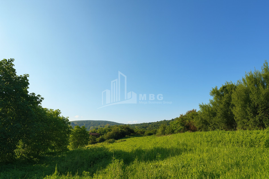 იყიდება მიწის ნაკვეთი ორხევი თიანეთი მცხეთა   მთიანეთი