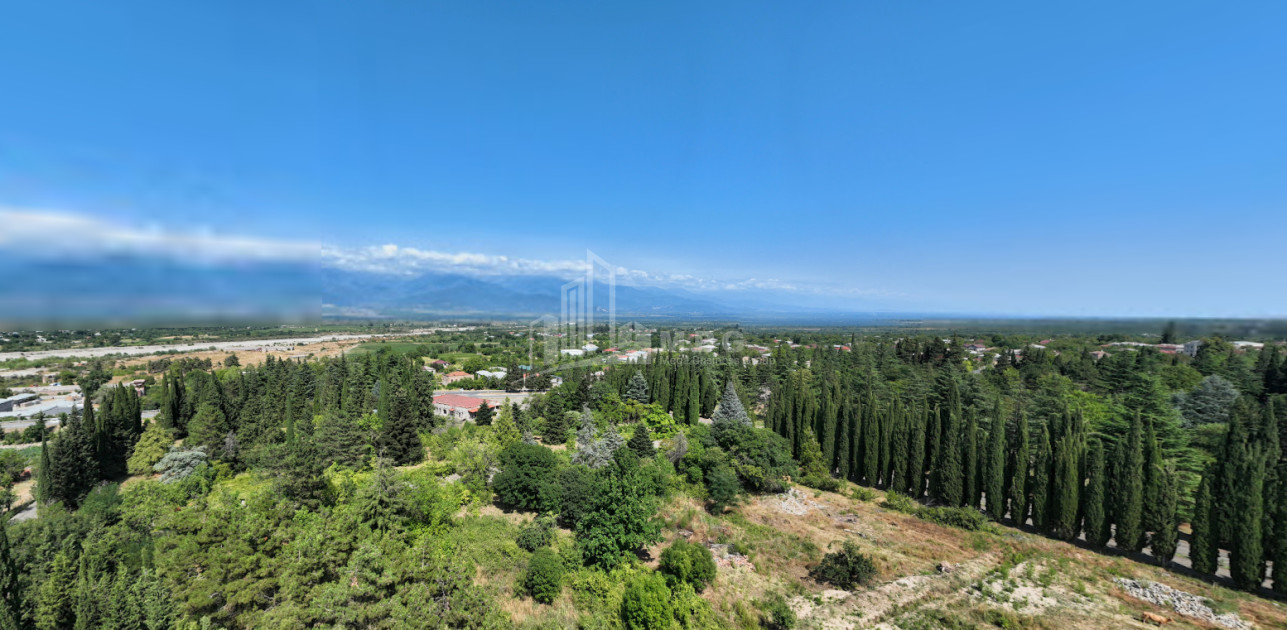 For Sale Land Tsinandali Telavi Kakheti