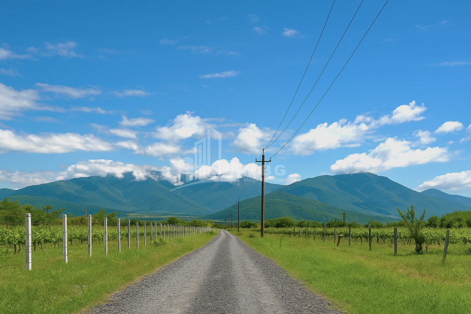 Продается Земля Шильда Кварели Кахети