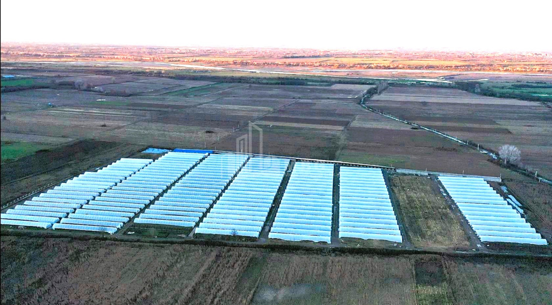 იყიდება მიწის ნაკვეთი ვანი იმერეთი