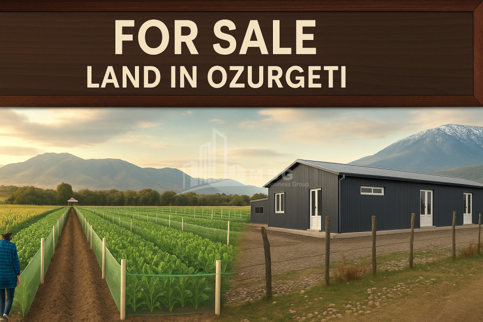 იყიდება მიწის ნაკვეთი გურია