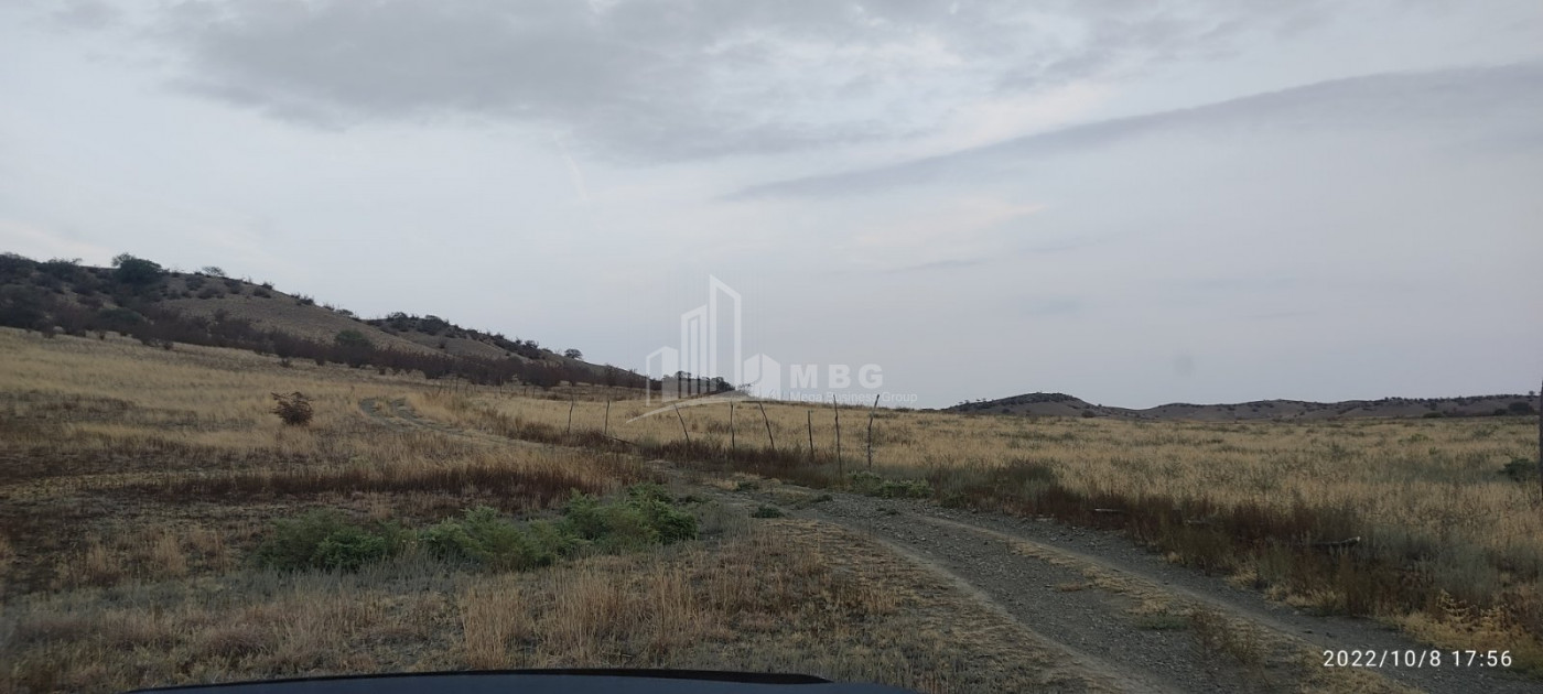 Продается Земля Квемо Бодбе Сигнаgи Кахети