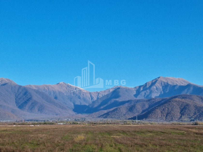 For Sale Land Eniseli Kvareli Kakheti
