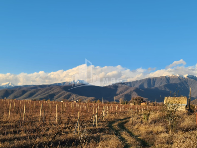 For Sale Land Shilda Kvareli Kakheti