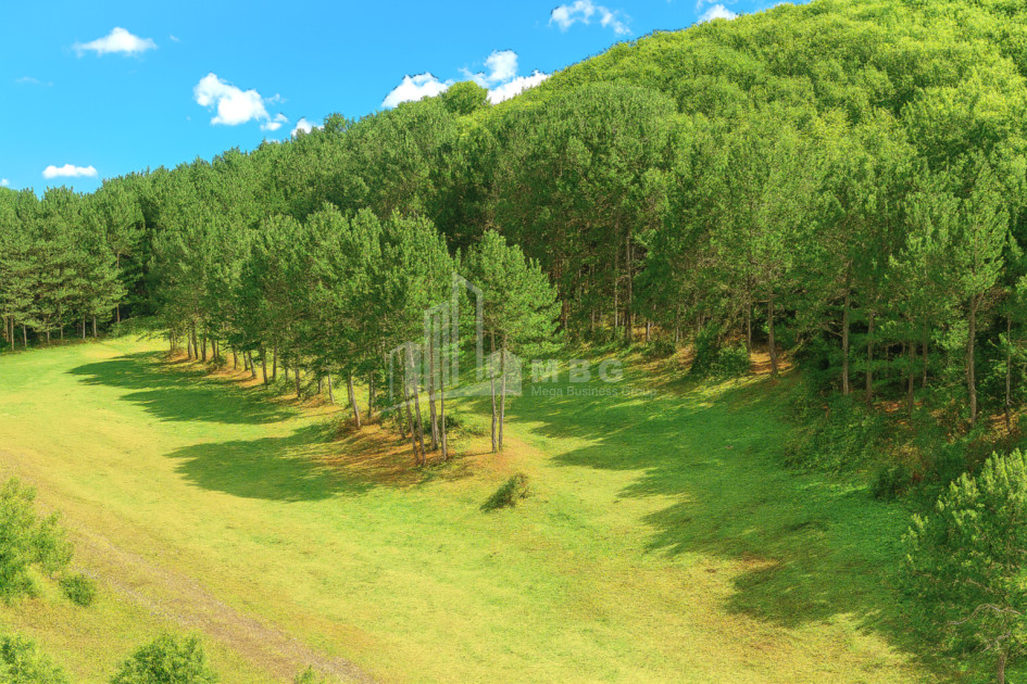 Продается Земля Городок Сурами Хашури Шида Картли