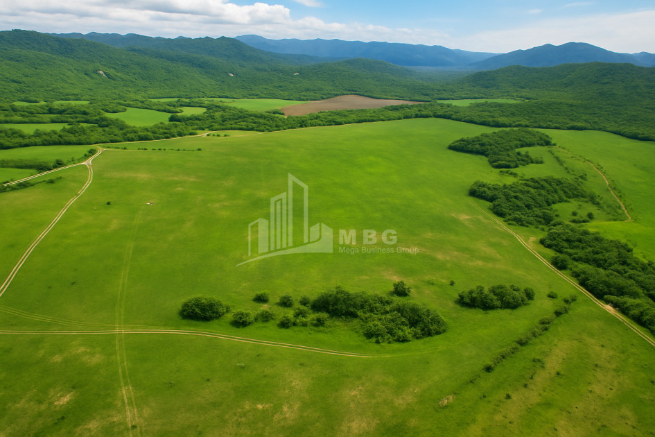 Продается Земля Гомбори Сагареджо Кахети