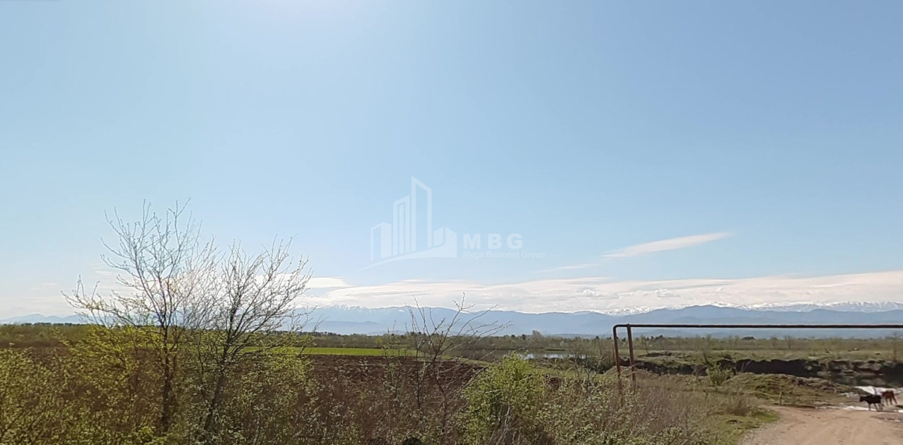 For Sale Land Kutaisi Imereti