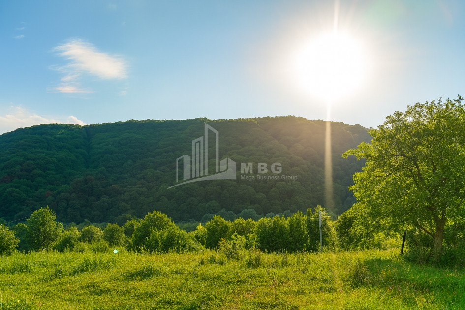 იყიდება მიწის ნაკვეთი ორხევი თიანეთი მცხეთა   მთიანეთი