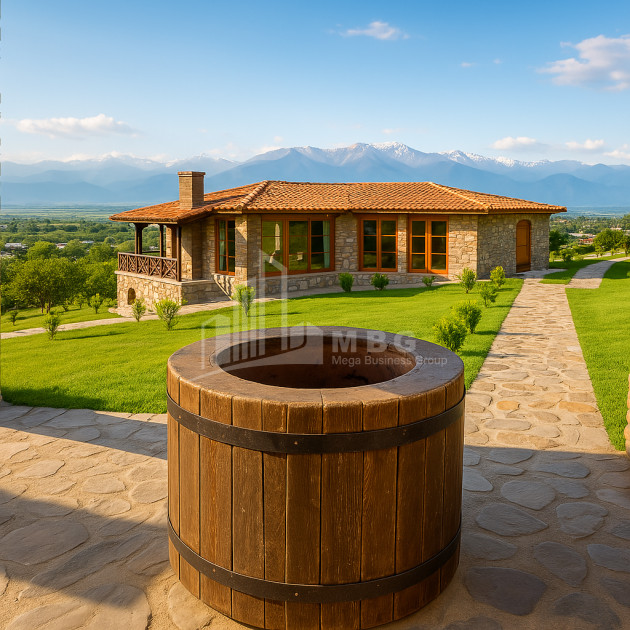 For Sale Commercial Atskuri Akhmeta Kakheti