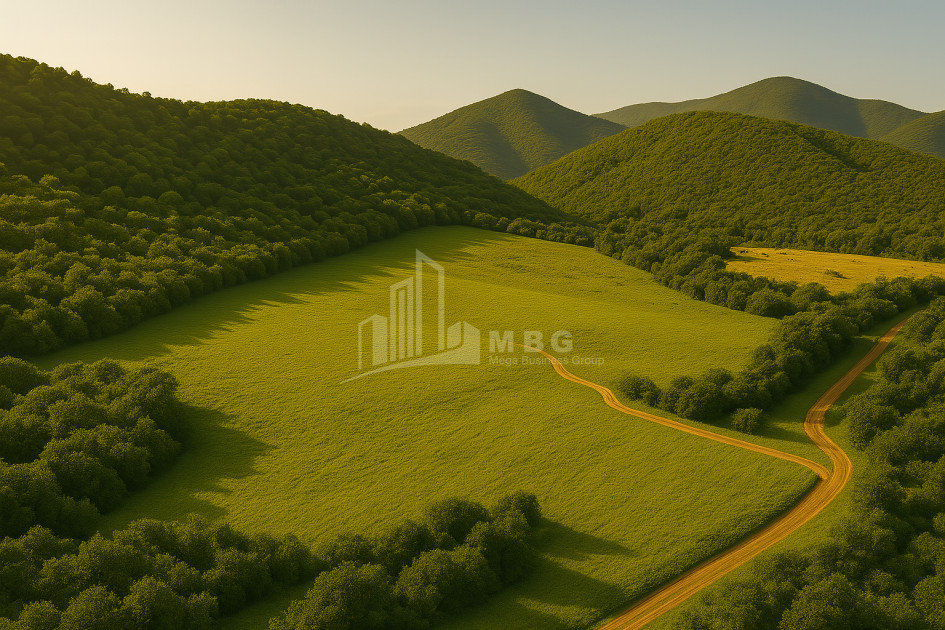 Продается Земля Кварели Кахети