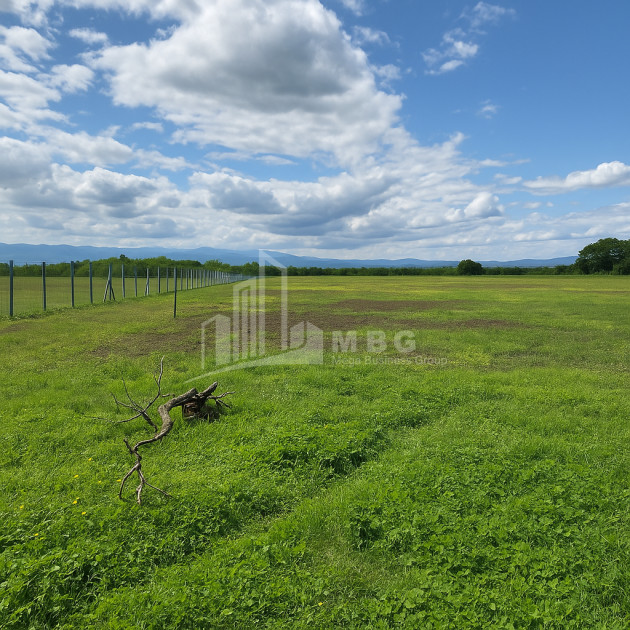 For Sale Land Vartsikhe Baghdati Imereti