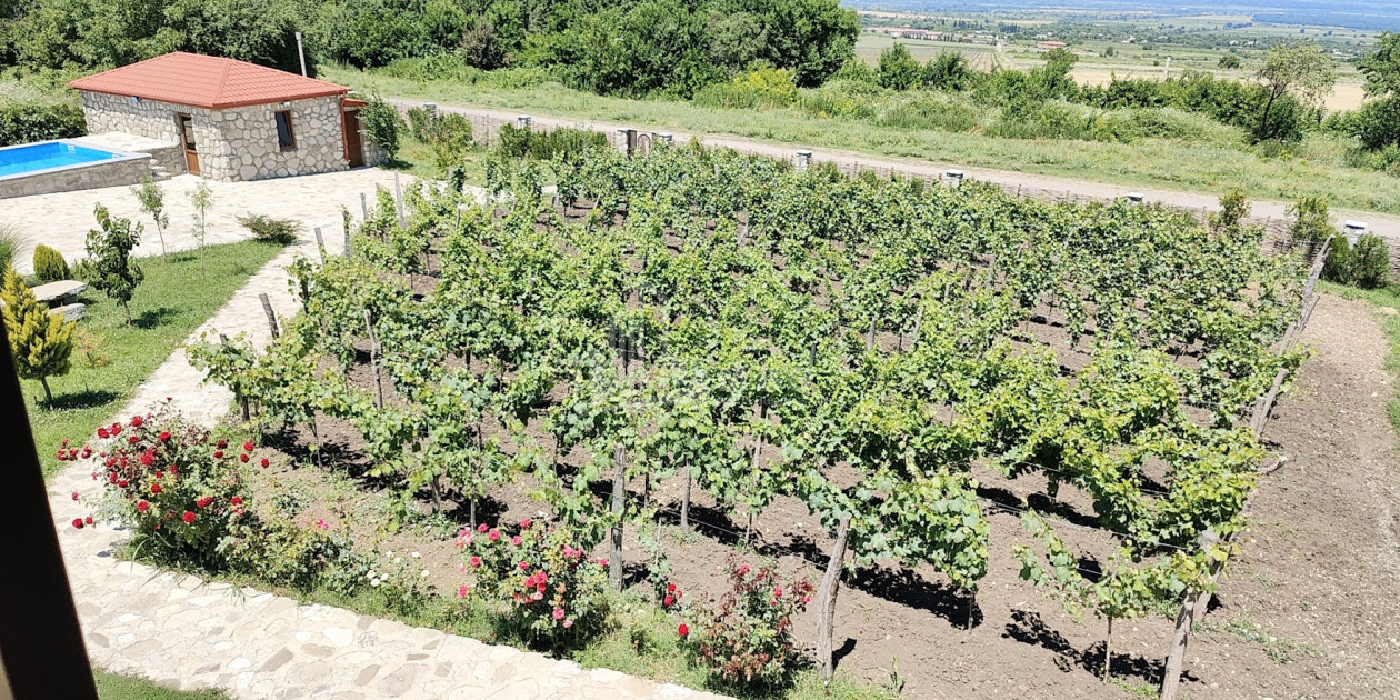 Продается Коммерческий Телави Кахети