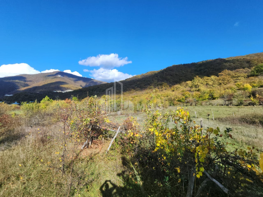 Продается Земля Деревня Чинти Душети Мцхета   Мтианети