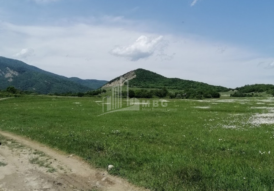 Продается Земля Гомбори Сагареджо Кахети