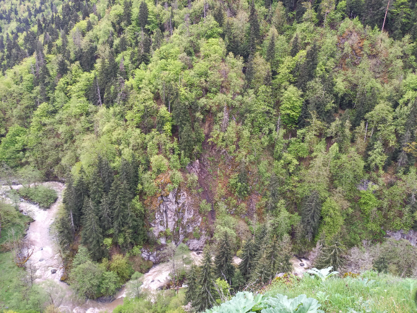 Продается Коммерческий Садгери Боржоми Самцхе   Джавахети