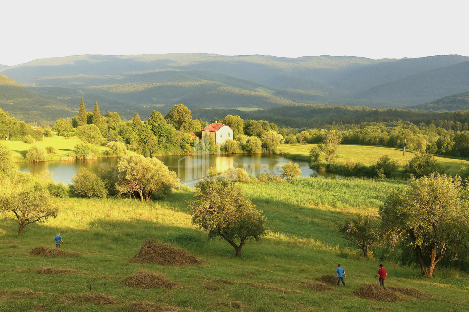 For Sale Land Nikortsminda Ambrolauri Racha   Lechxumi Kvemo Svaneti
