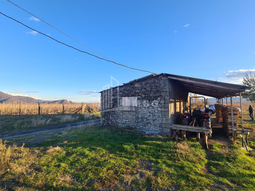 For Sale Land Shilda Kvareli Kakheti