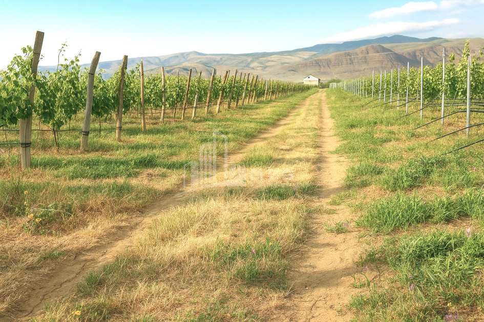 იყიდება კომერციული ფართი დოესი კასპი შიდა ქართლი