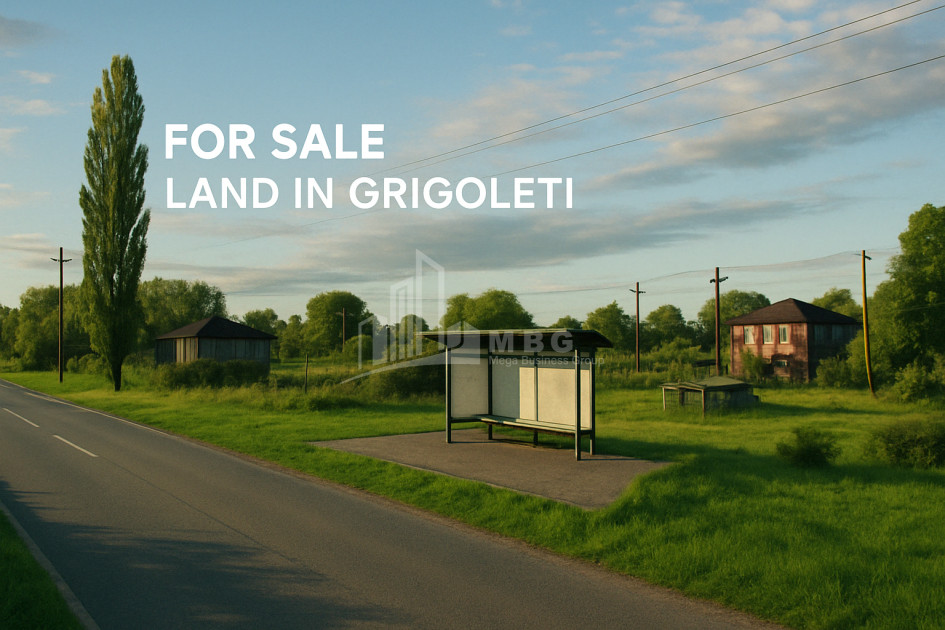 For Sale Land Grigoleti Lanchkhuti Municipalities of Guria
