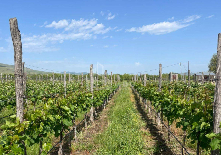 იყიდება კომერციული ფართი დოესი კასპი შიდა ქართლი