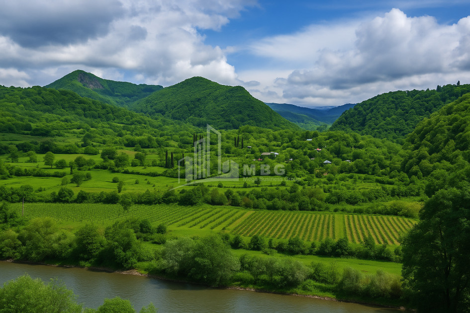 For Sale Land Baji Ambrolauri Racha   Lechxumi Kvemo Svaneti