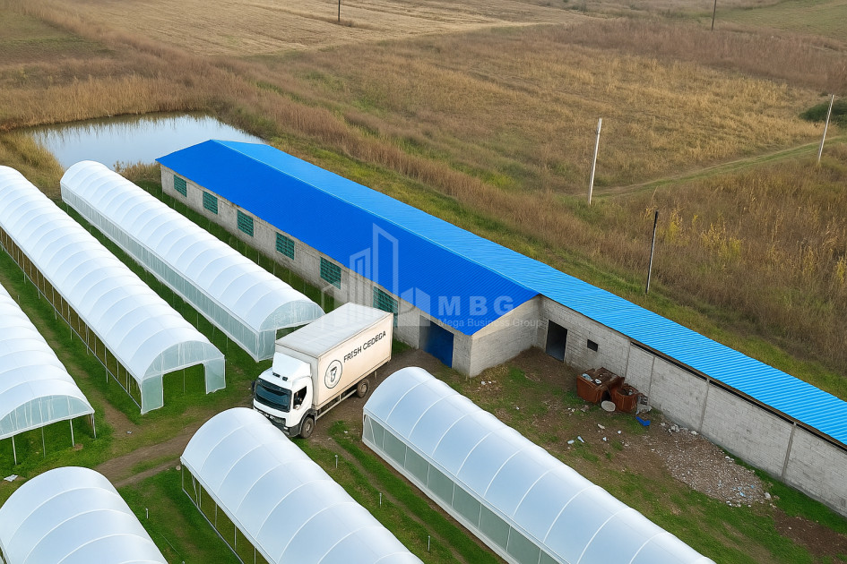 იყიდება მიწის ნაკვეთი ვანი იმერეთი