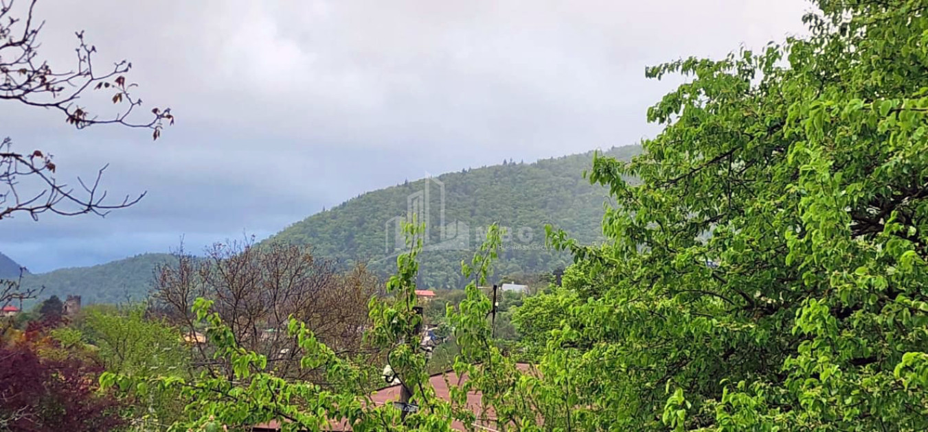 Продается Дом Вилла Квишхети Хашури Шида Картли