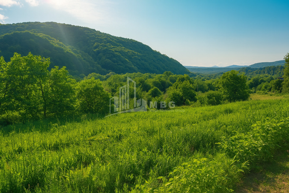 იყიდება მიწის ნაკვეთი ორხევი თიანეთი მცხეთა   მთიანეთი