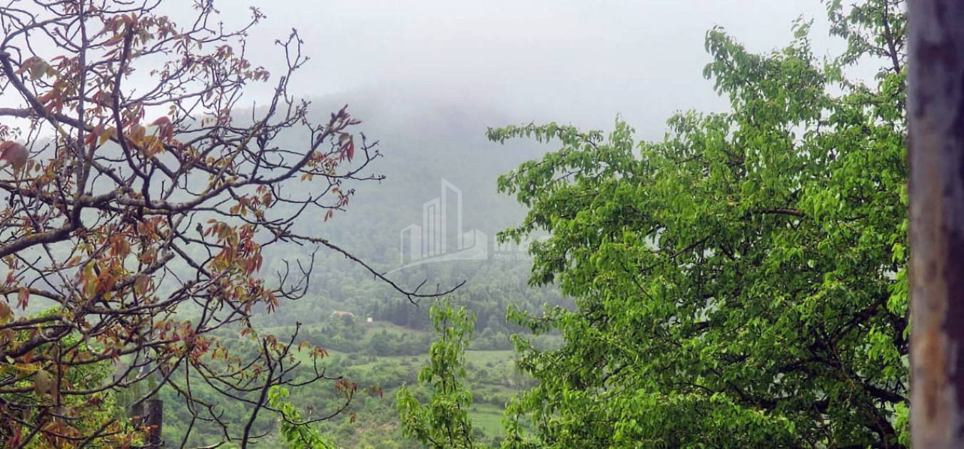 Продается Дом Вилла Квишхети Хашури Шида Картли