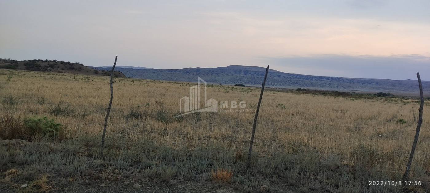 Продается Земля Квемо Бодбе Сигнаgи Кахети