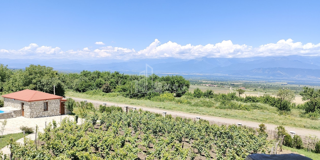 Продается Коммерческий Телави Кахети