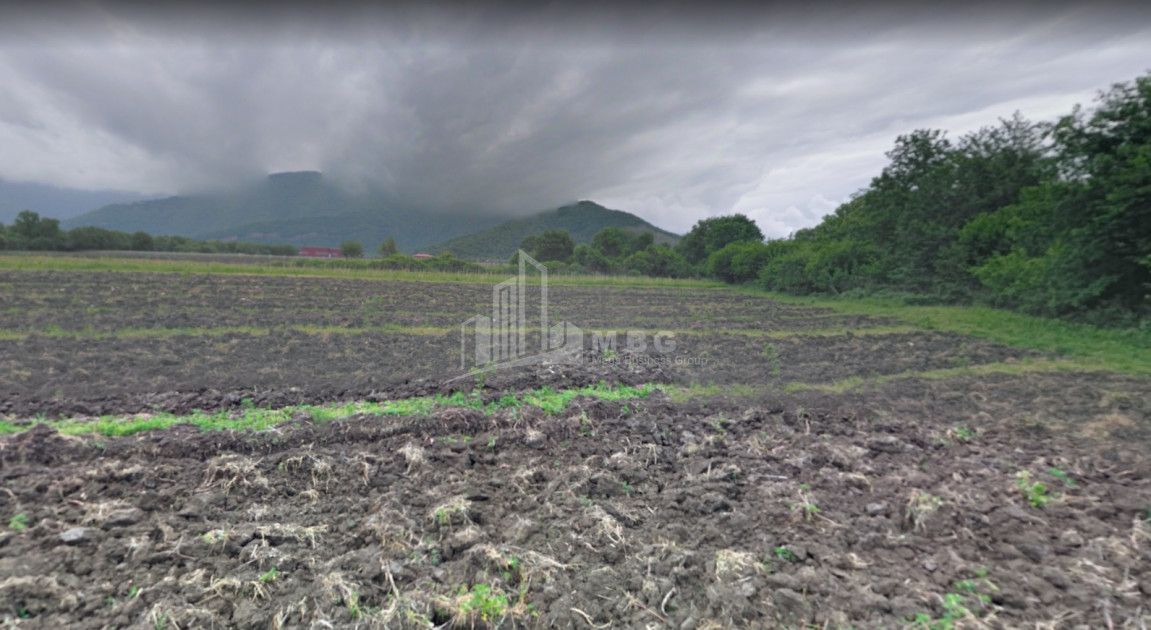 For Sale Land Kvareli Kakheti