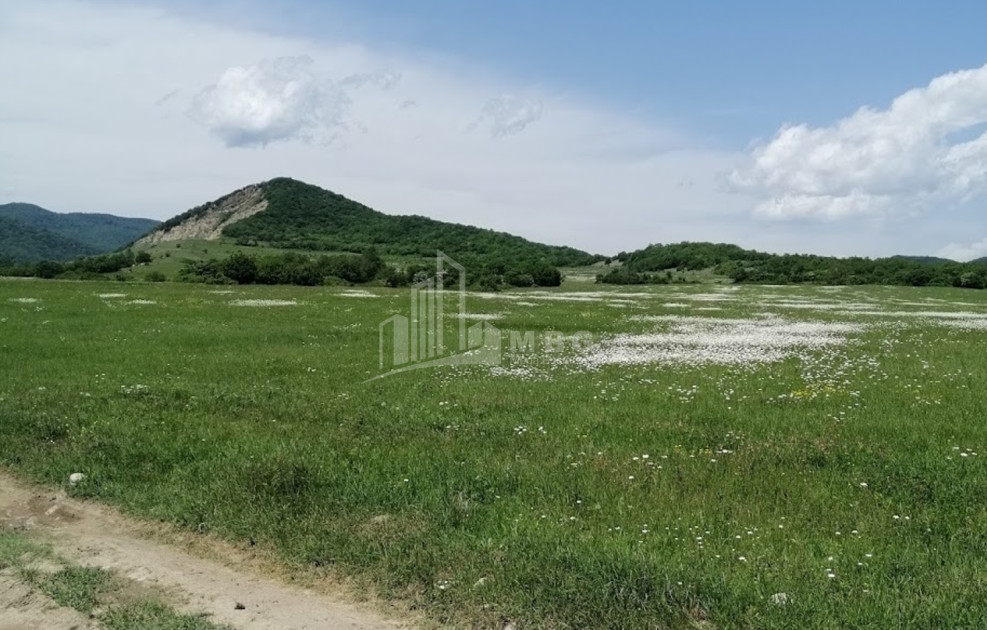 Продается Земля Гомбори Сагареджо Кахети