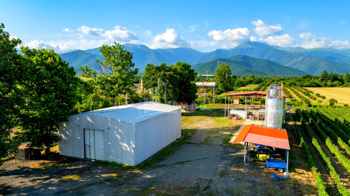 For Sale Commercial Shilda Kvareli Kakheti